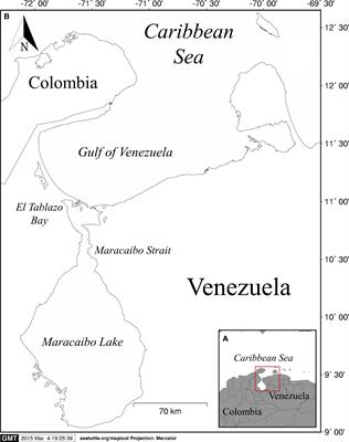 Guiana Dolphin (Sotalia guianensis) in the Maracaibo Lake System, Venezuela: Conservation, Threats, and Population Overview